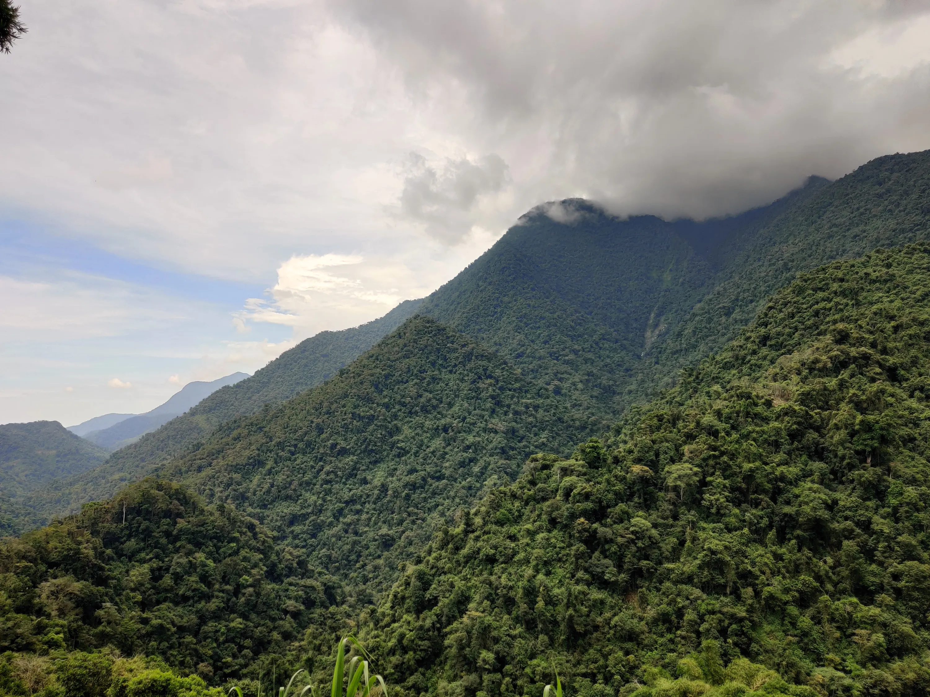 Ciudad Perdida - Guatemala, 2023